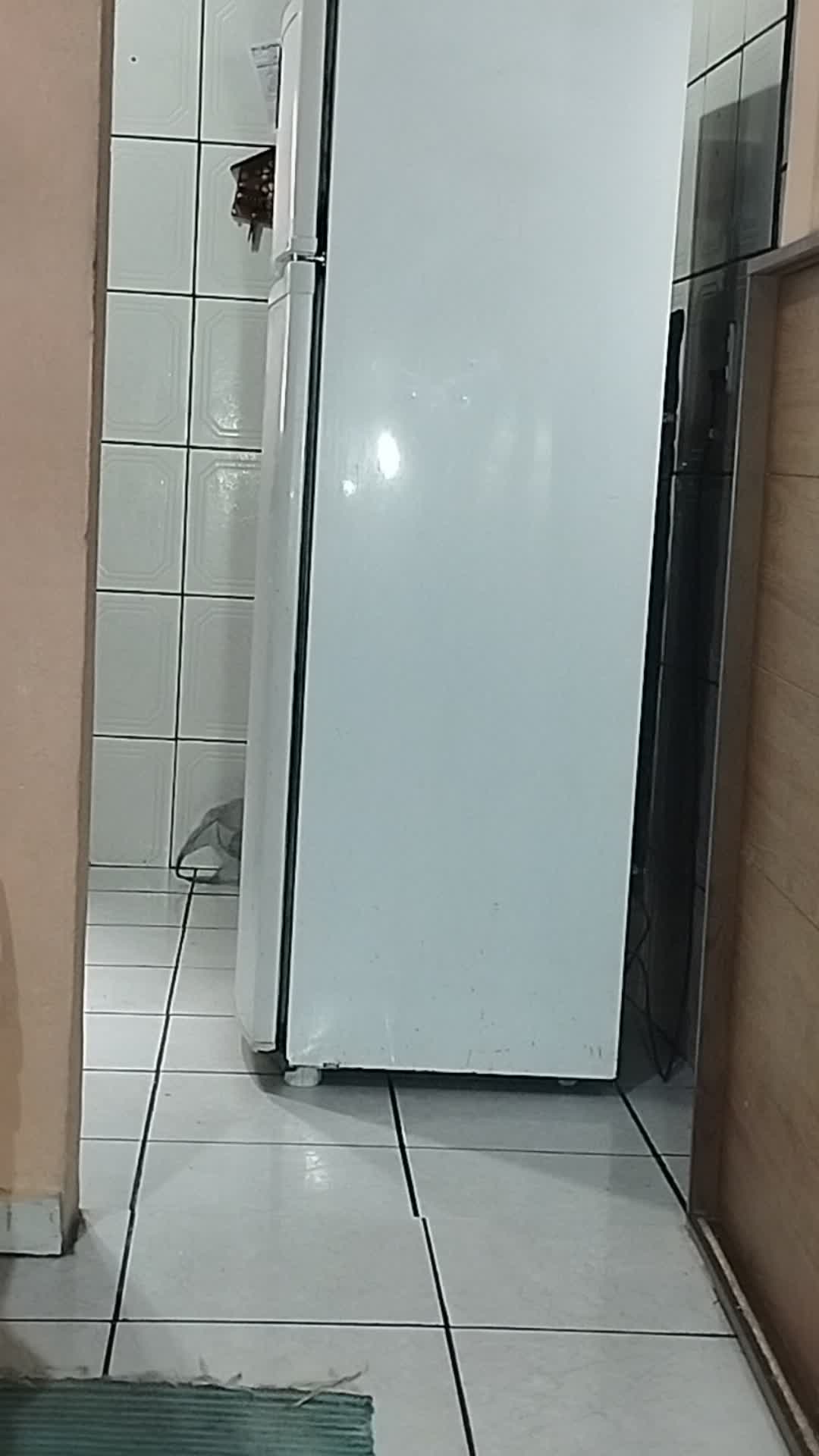 Homem exibindo plug anal, brinquedos sexuais e exibicionismo