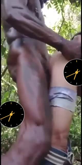 Sexo anal e amador na floresta