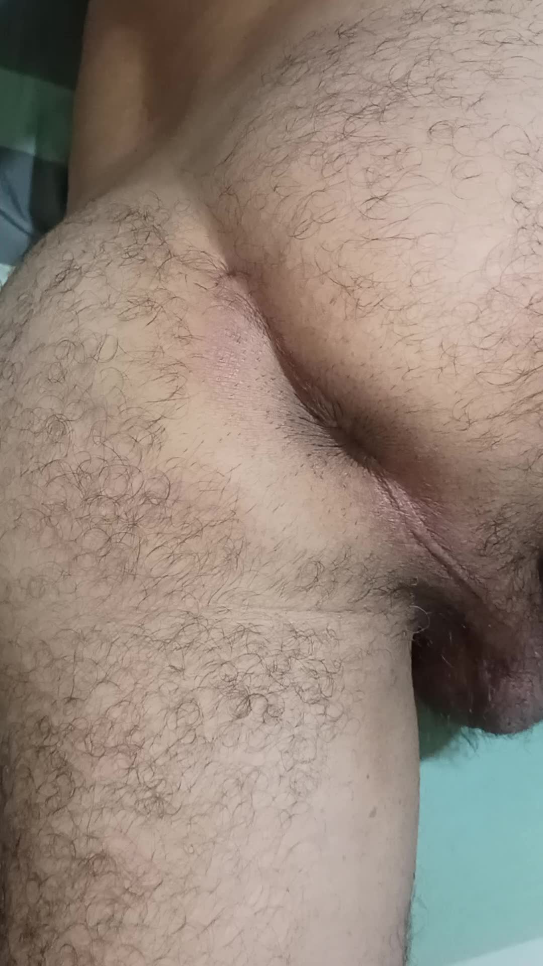 Exibicionismo e bunda peluda