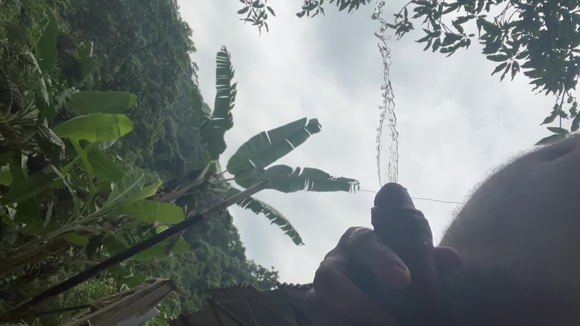 Gozo, pau e mato na natureza