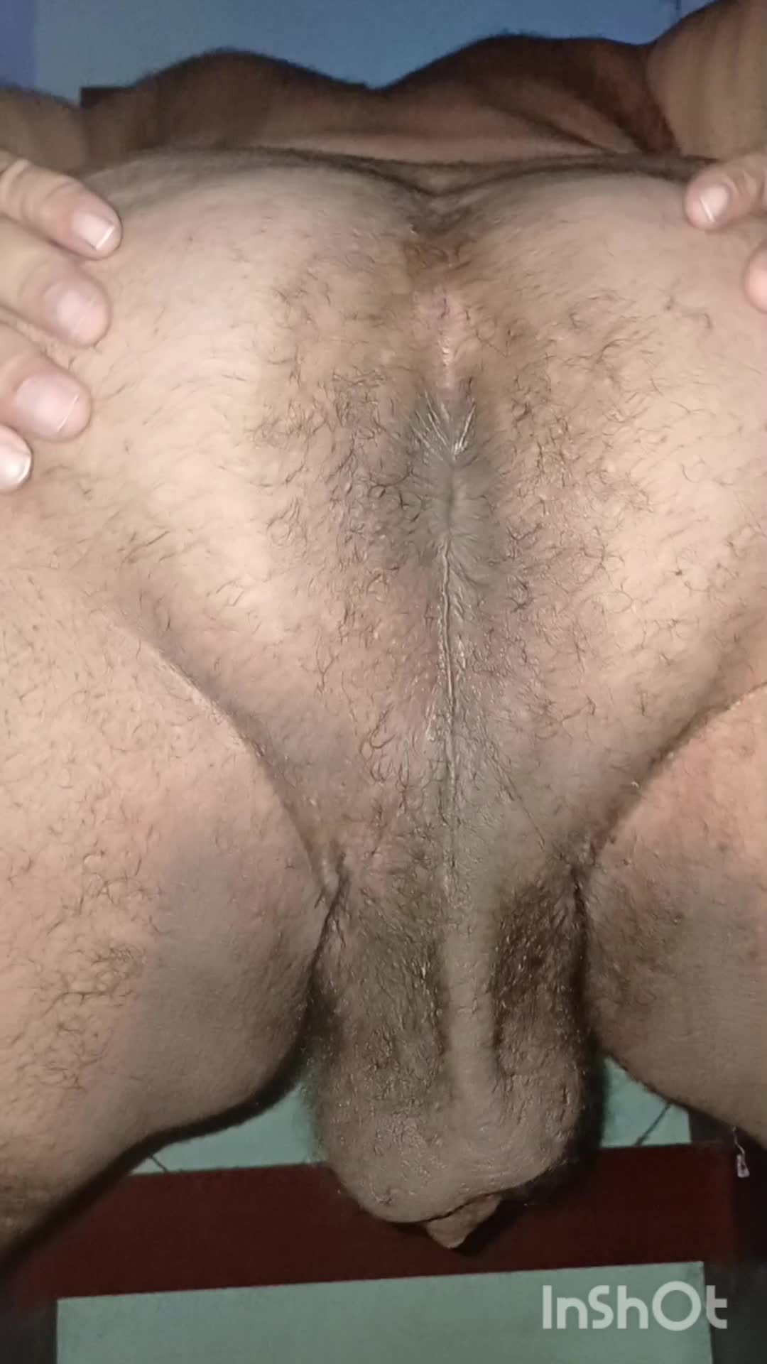 Close sensual em ânus e saco escrotal