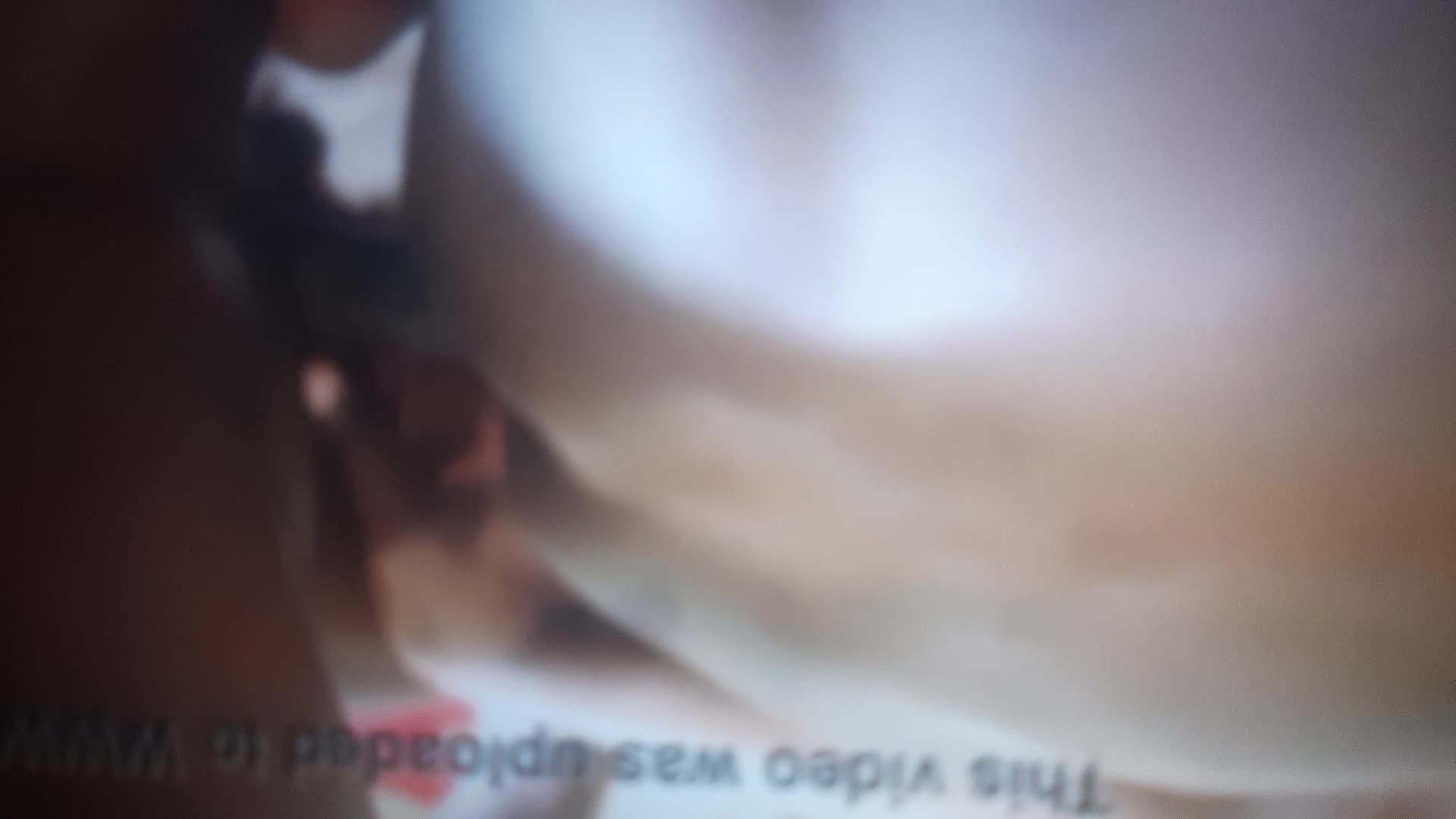 Casal gay em sexo anal e beijo apaixonado