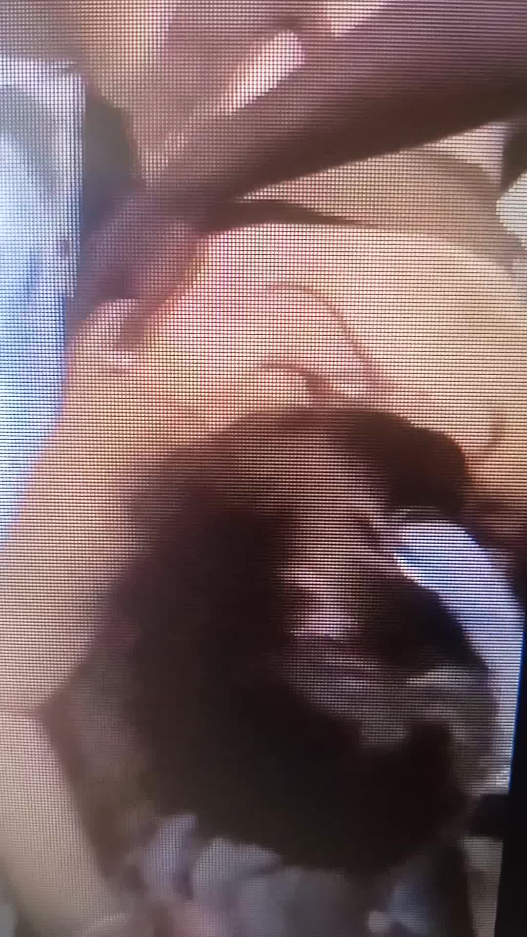 Trio com pegação, sexo anal e oral