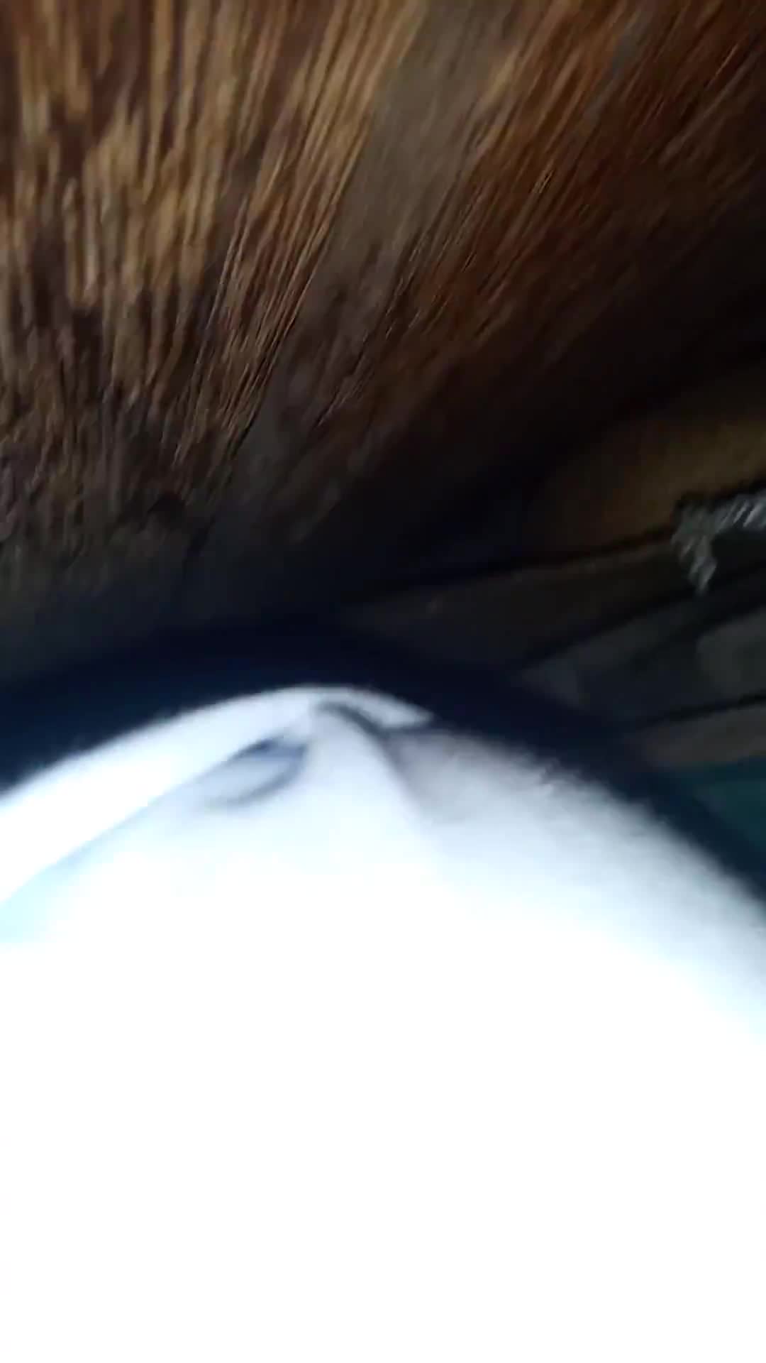 Sexo anal e sexo oral em cena sensual