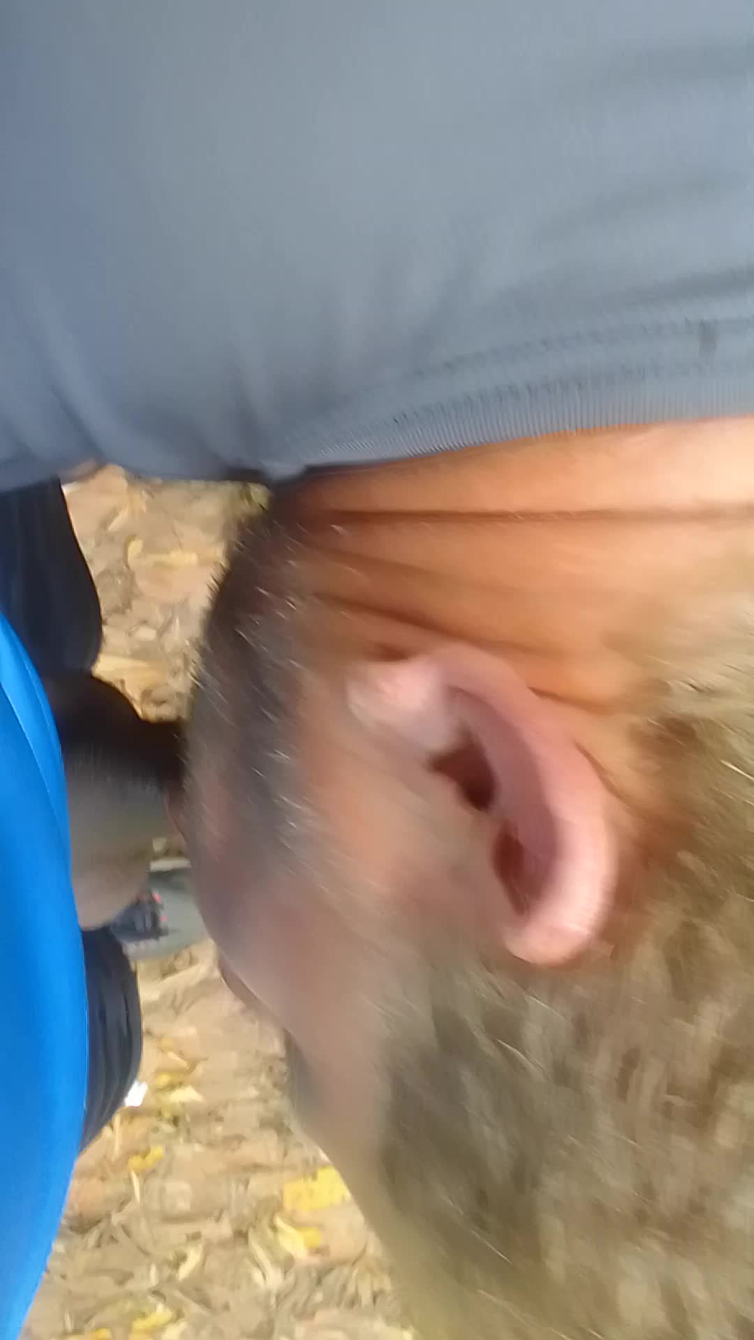 Sexo oral POV intenso e selvagem