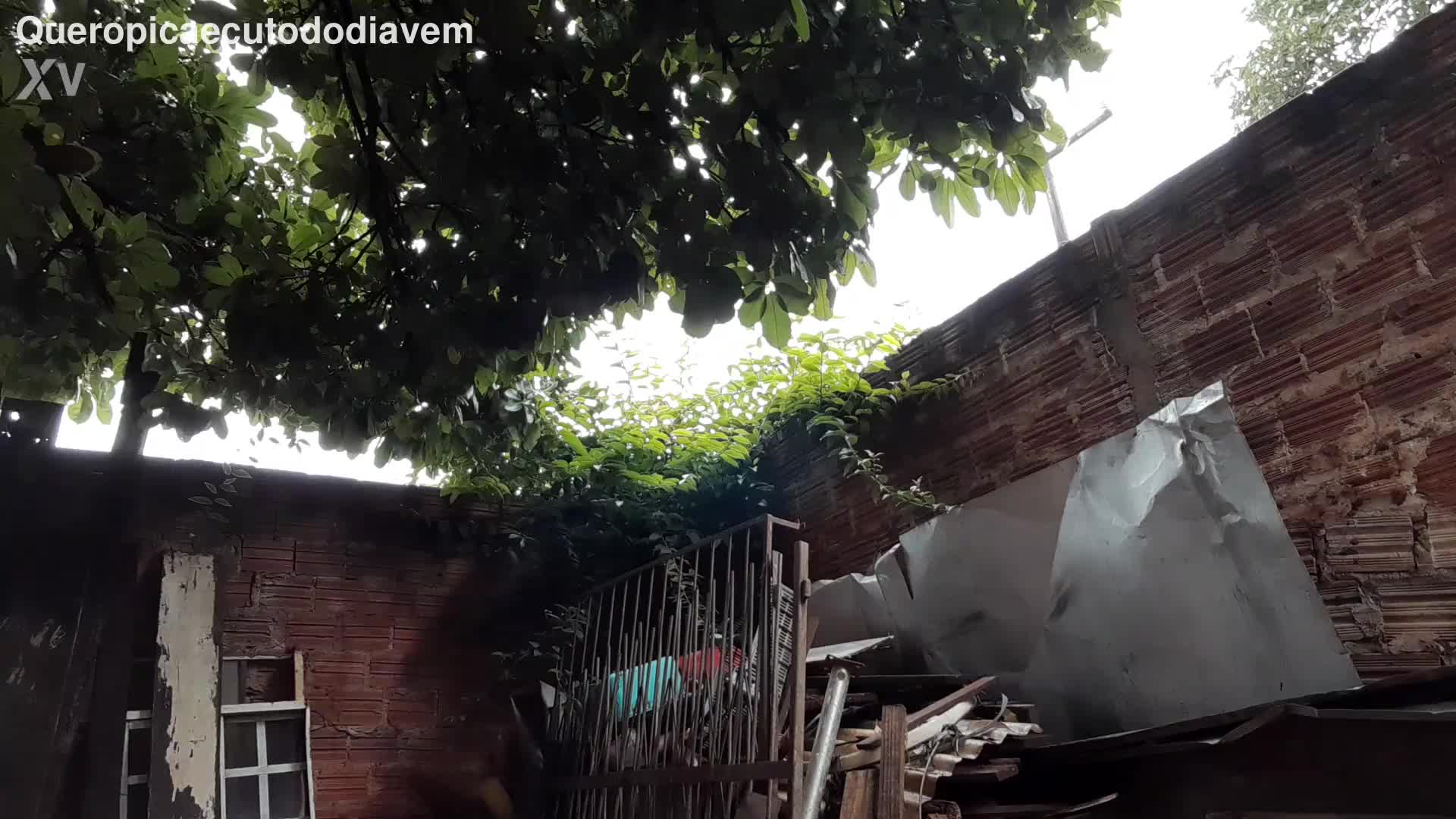 Masturbação e urinofilia na área externa