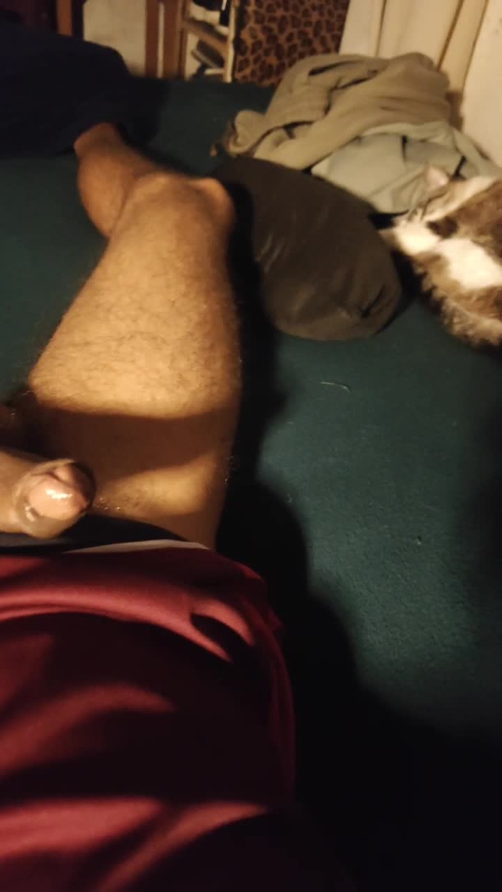 Masturbação e genitais masculinos em close íntimo