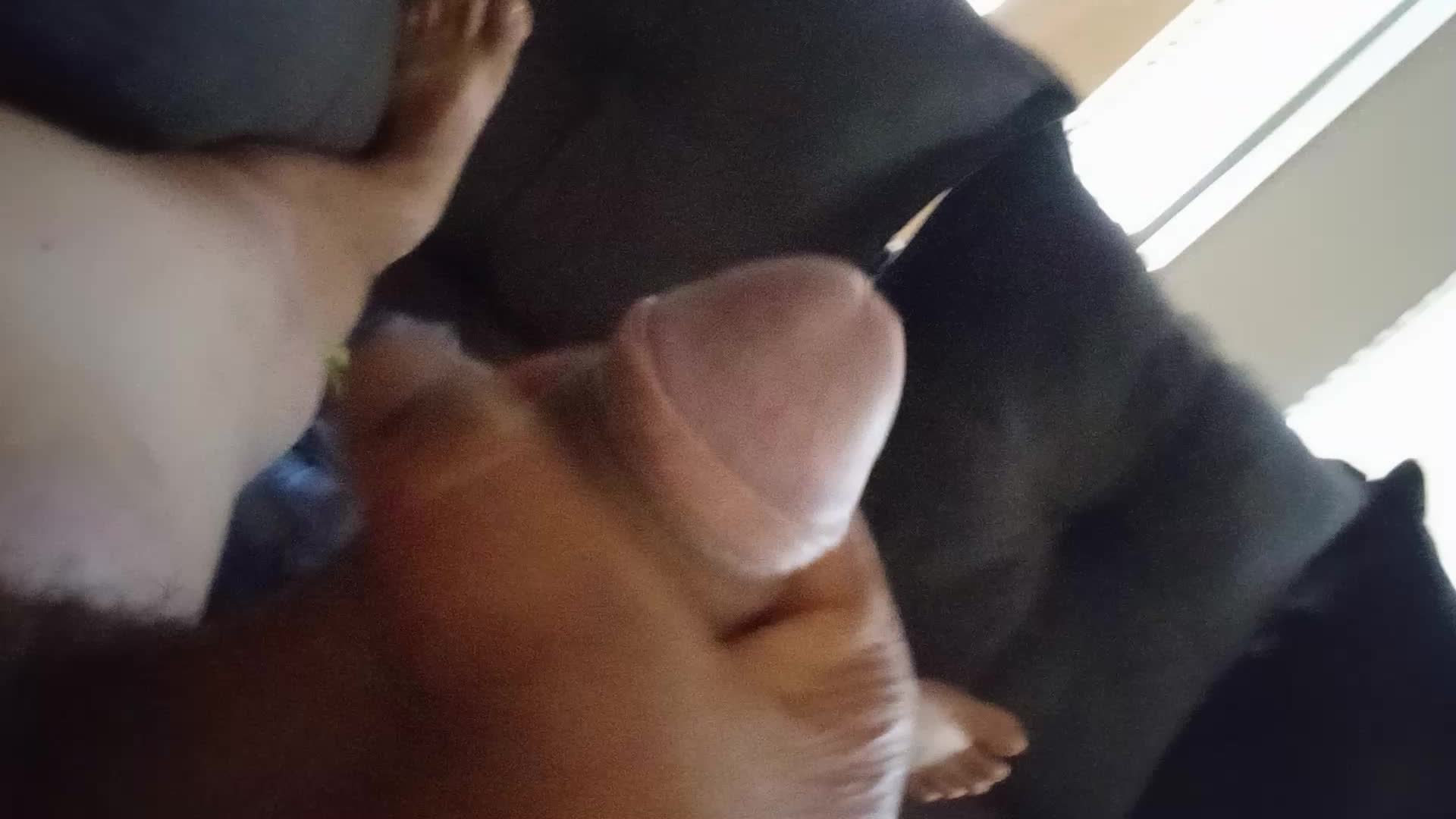 Pênis e masturbação sensual