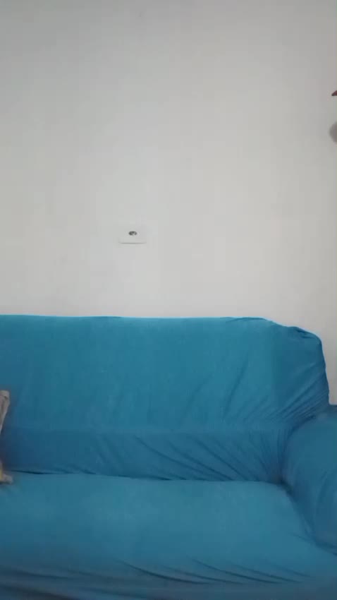 Exibicionismo e masturbação provocante