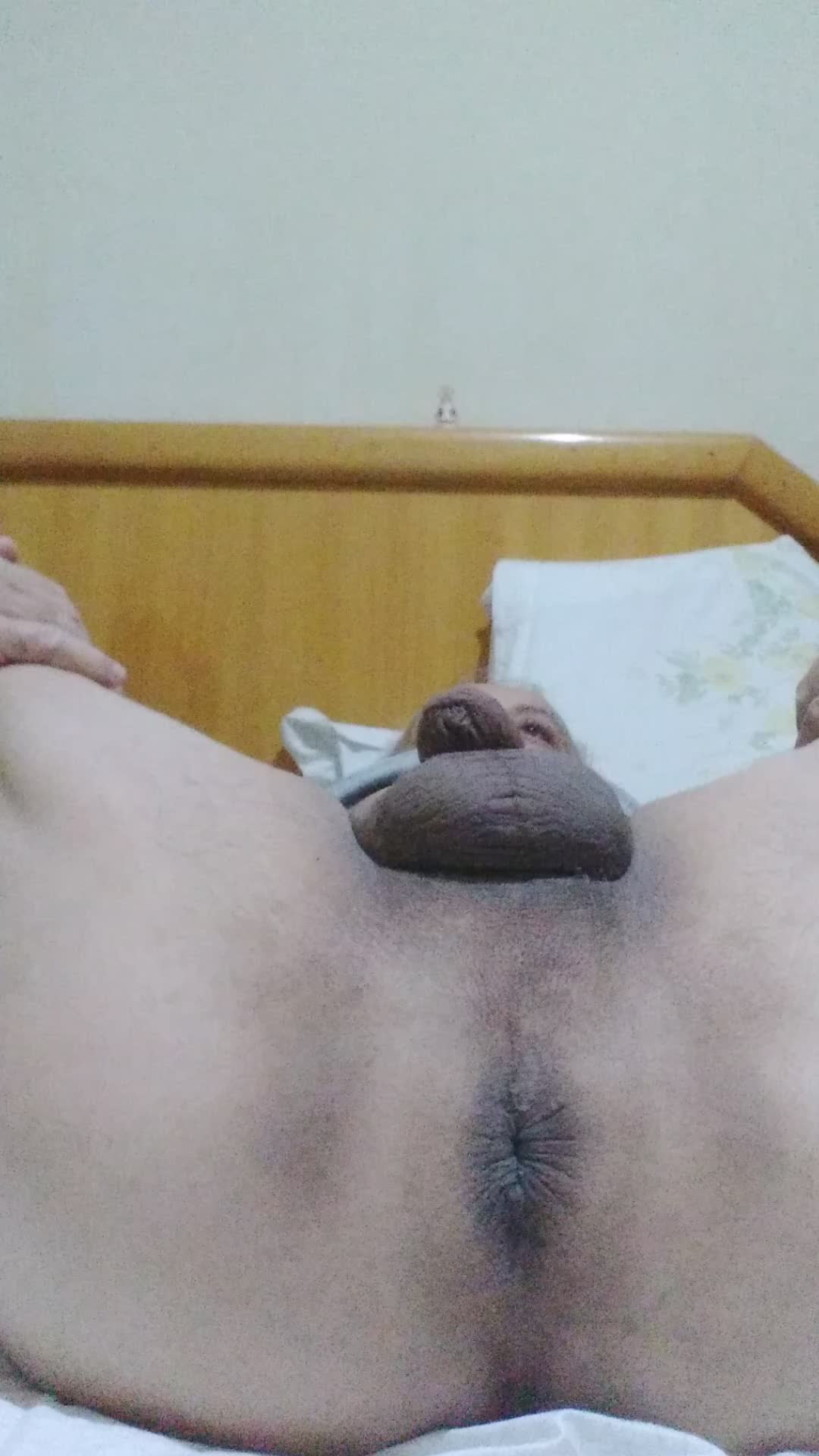 Homem peludo exibindo ânus e saco na cama