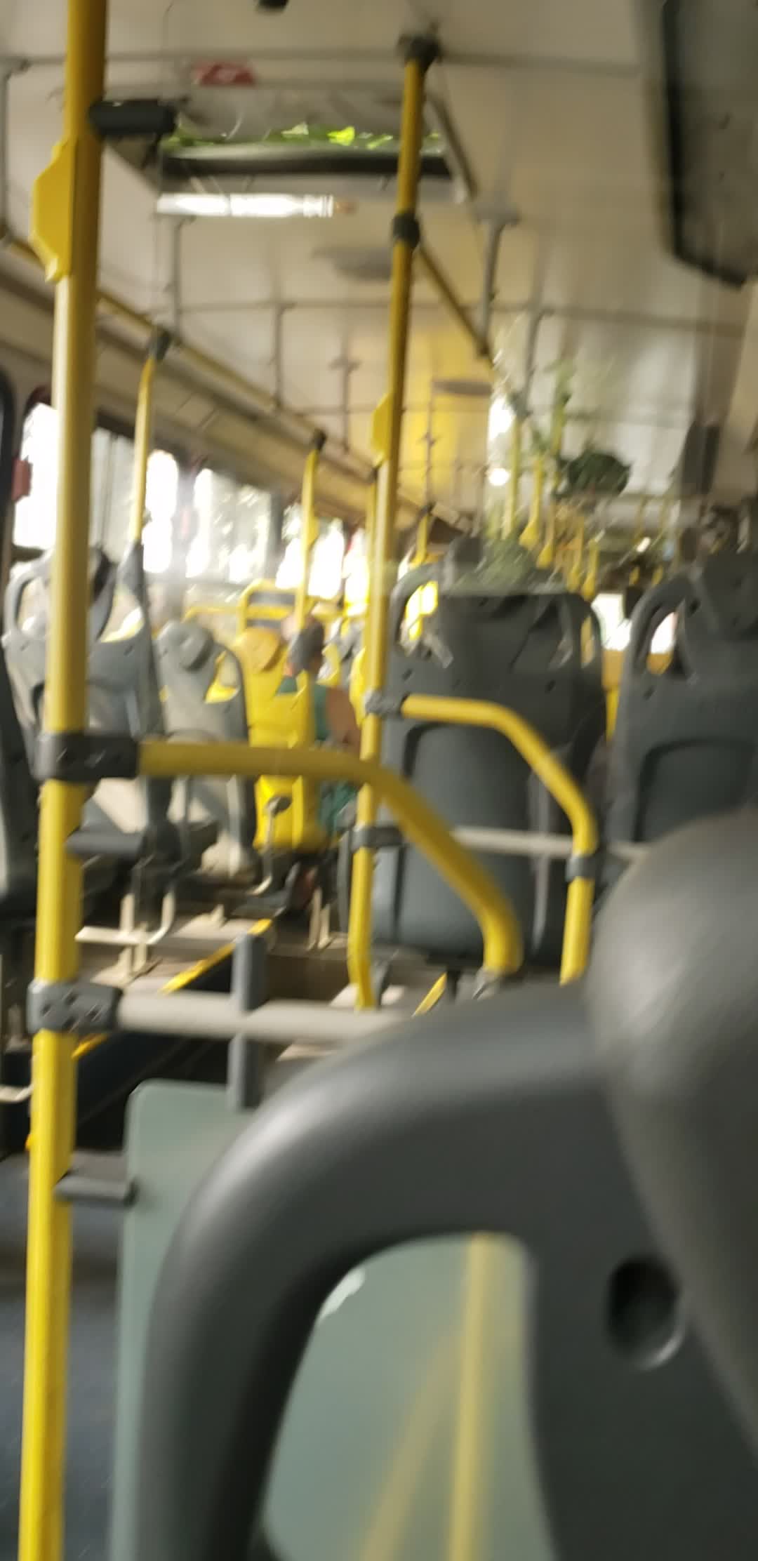Masturbação, exibicionismo, público