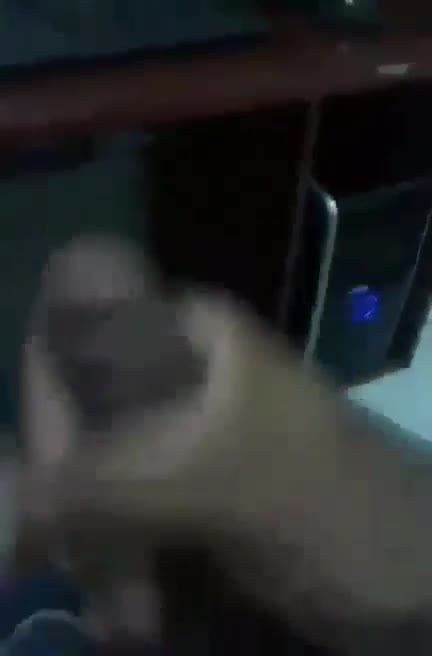 Masturbação e gozo intenso