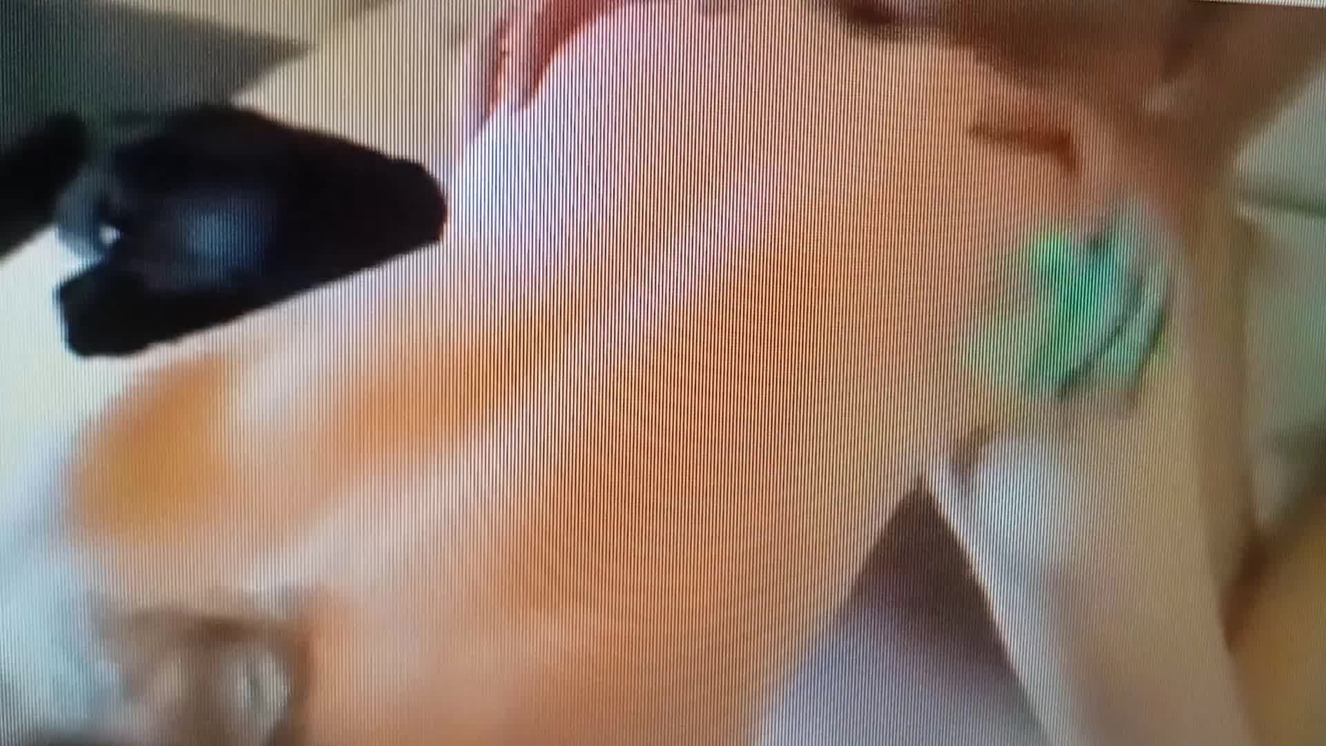 sexo anal, orgia
