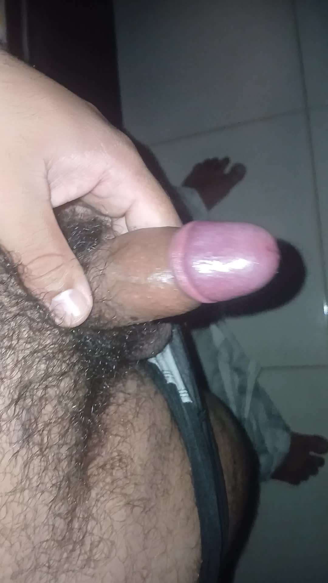 Pênis excitado e pelos pubianos em close