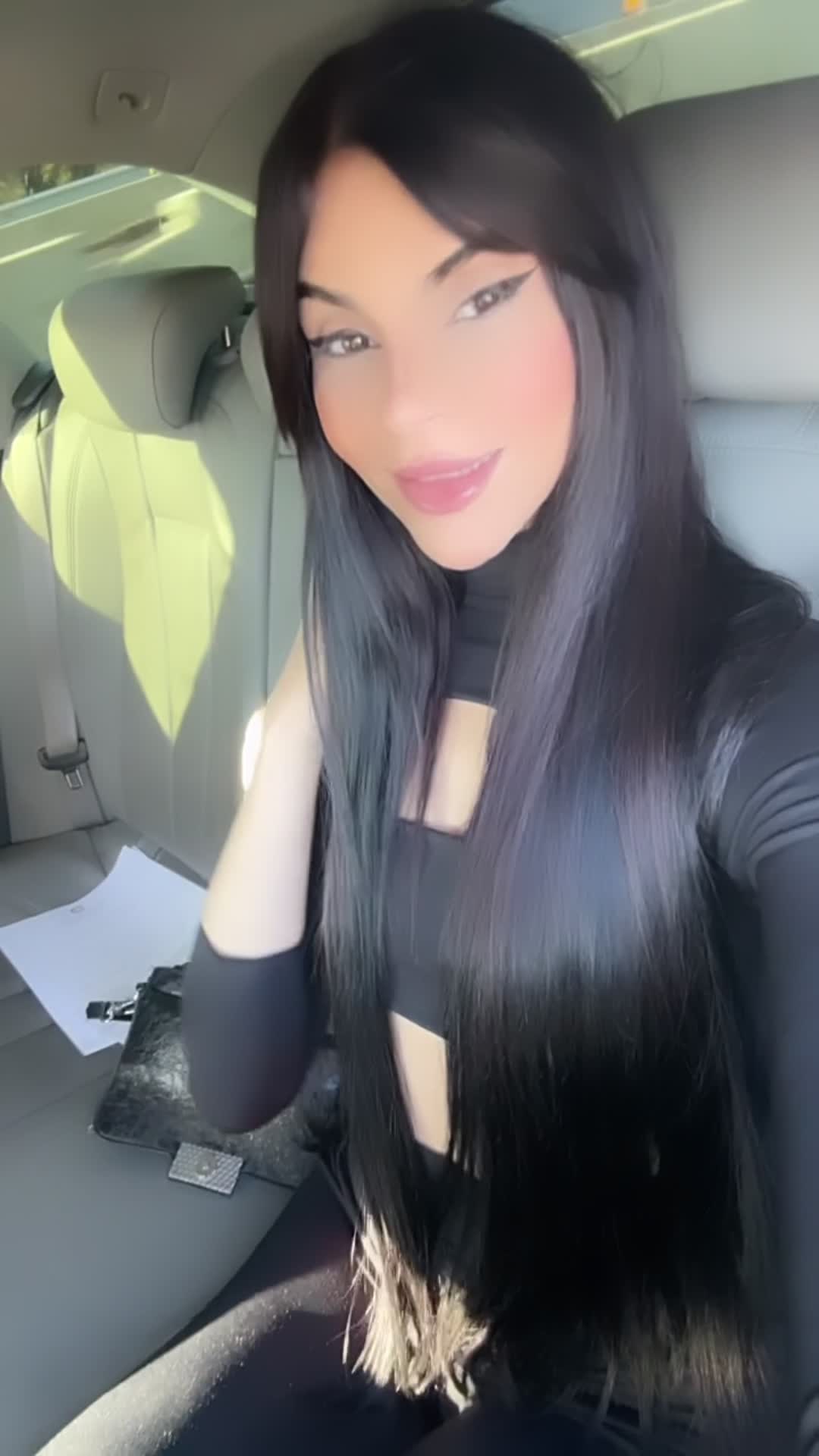 gata no carro mostrando o corpo