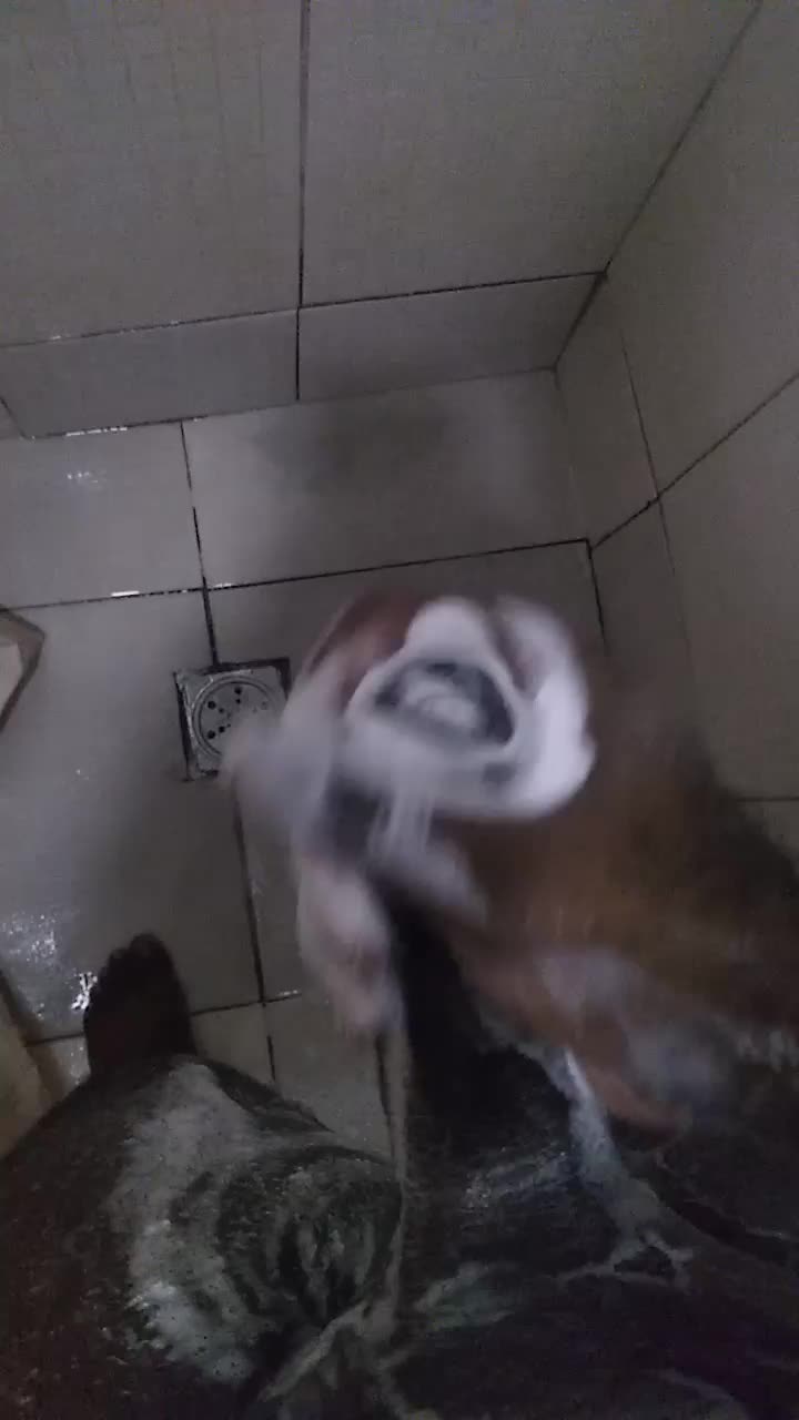 Masturbação solo no banho com ducha